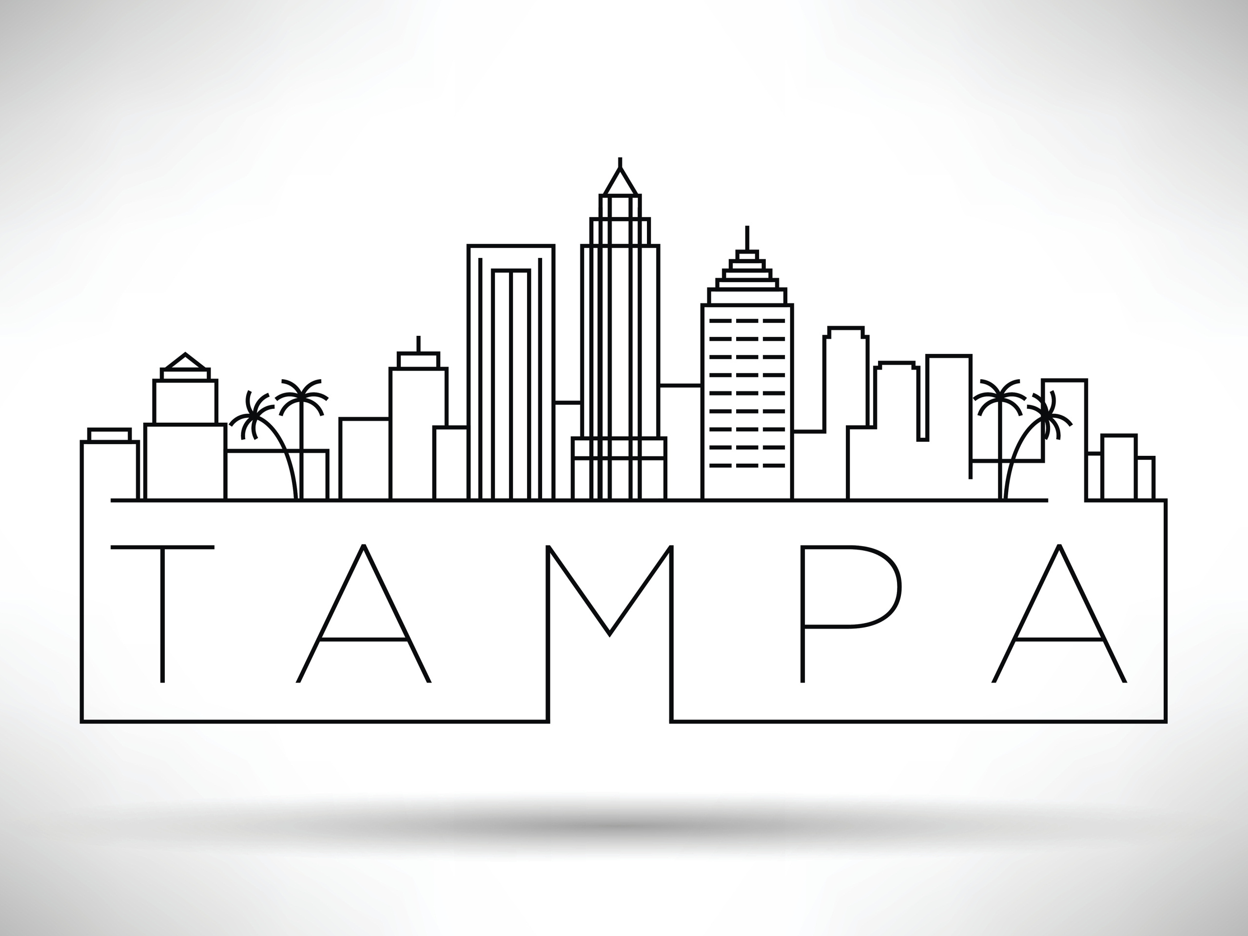 Tampa Florida IT Company